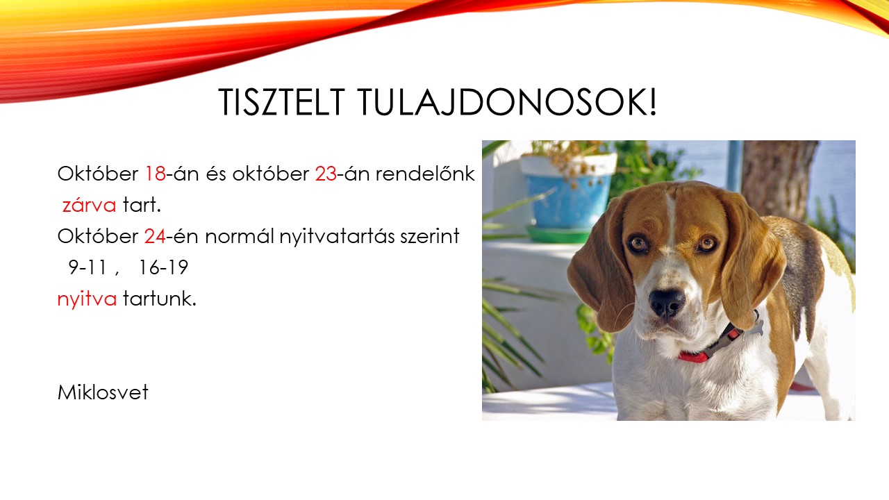 nyitvatartás október (1).jpg